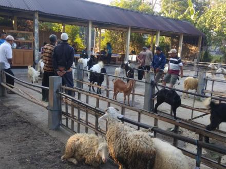 Kegiatan di Pasar Hewan Desa Patalan bertempat di Bakulan Wetan