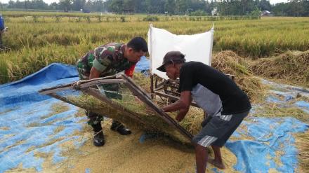 Panen di Dusun Ngaglik