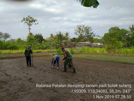 Semangat petani dalam menanam padi di Musim Kemarau