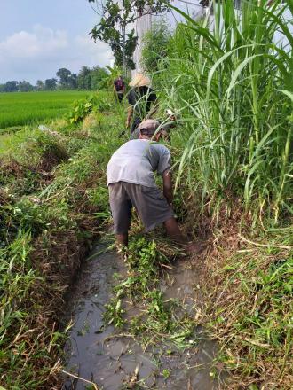 Gotong Royong Angkat Walet Swadaya Dusun Bobok