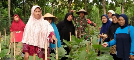 Giat Kelompok Wanita Tani Mitra Pertiwi dengan Babinsa Desa Patalan