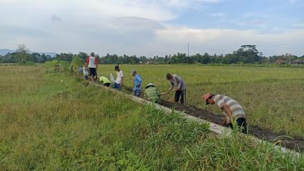  Warga Ketandan Gelar Kerja Bakti 'Angkat Walet' Demi Kelancaran Irigasi Pertanian