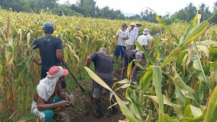 Gotong Royong Angkat Walet Dusun Jetis: Menjamin Air untuk Petani