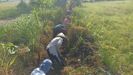 Angkat Walet Dusun Butuh