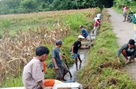 Semangat Gotong Royong Warga Tanjung Karang: 