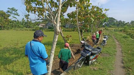 Jaga Ketahanan Pangan: Padukuhan Gaduh dan Butuh Bersihkan Saluran Irigasi (angkat walet)