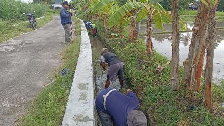 Angkat Walet di Dusun Tanjungkarang