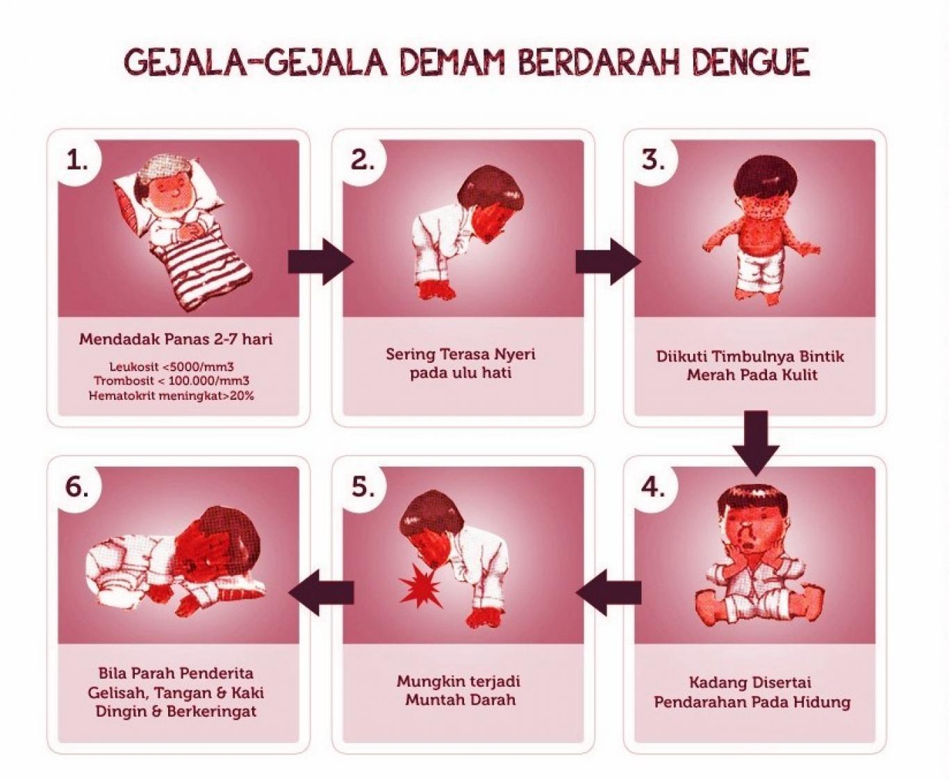 Tanda Tanda Penyakit Dbd - Perumperindo.co.id